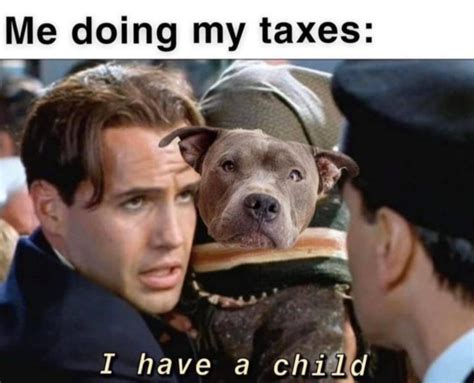 irs meme|20 Tax Memes That’ll Make You Laugh But Also。